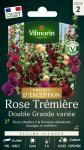 Fleurs - Rose Trémière Double Grande Variée - Graines d'Exception - face recto